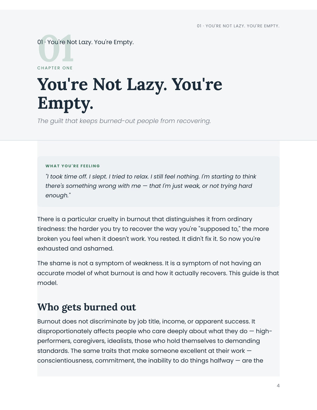 EMPTY — The Clinical Burnout Recovery Guide (PDF)