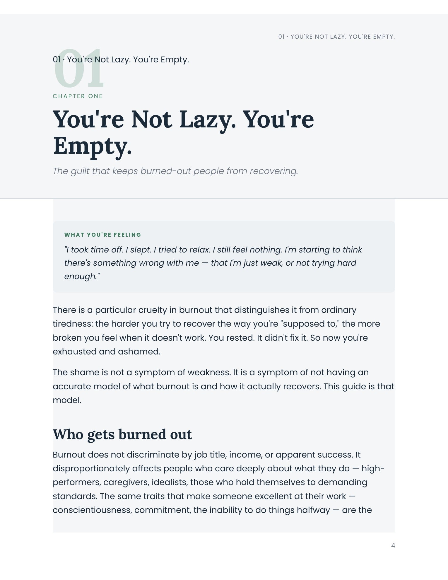 EMPTY — The Clinical Burnout Recovery Guide (PDF)