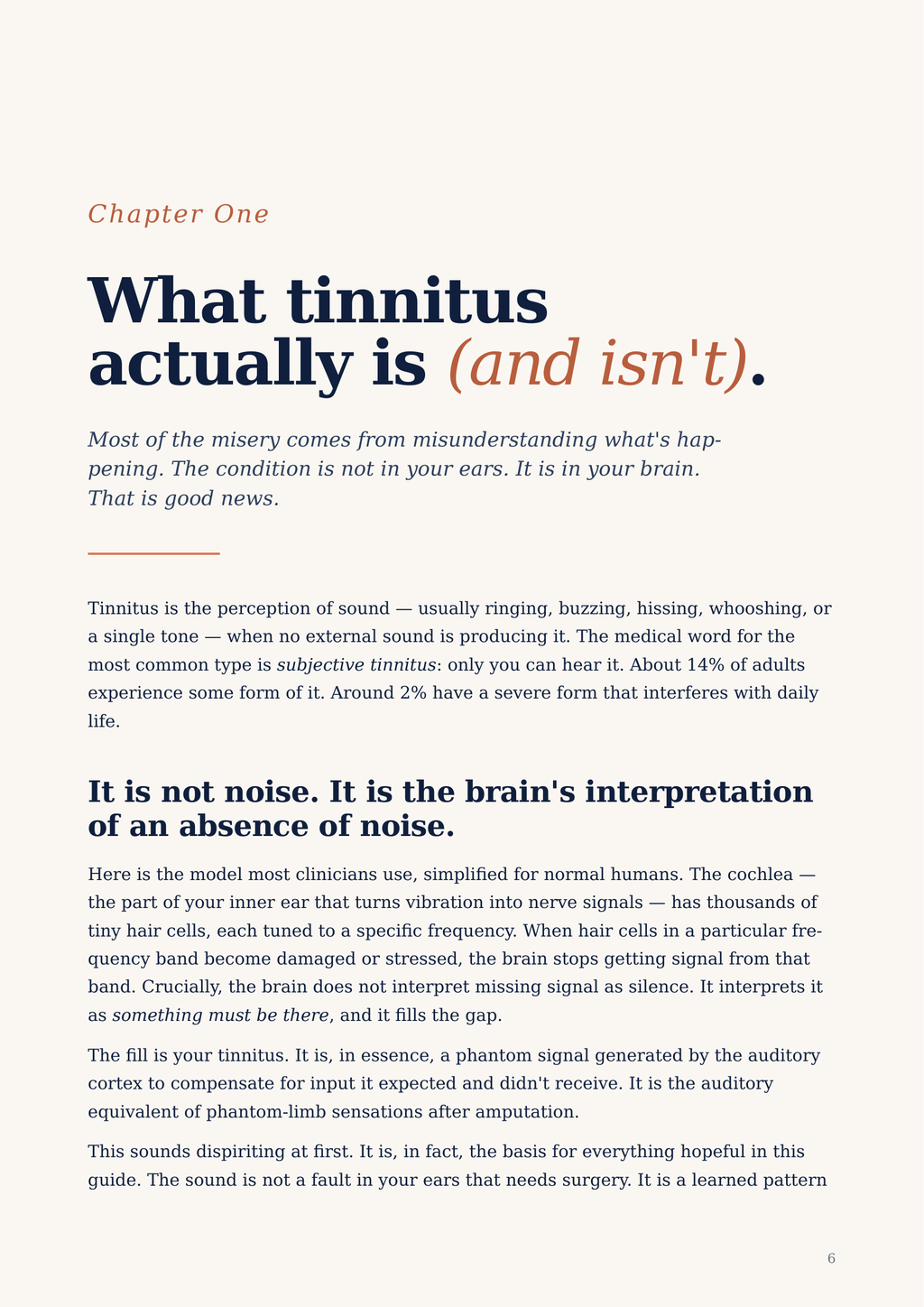 Book page explaining tinnitus with text on a white background
