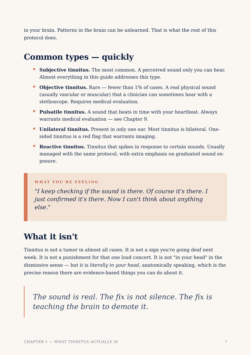 Page from a book or document explaining tinnitus with text and a quote.
