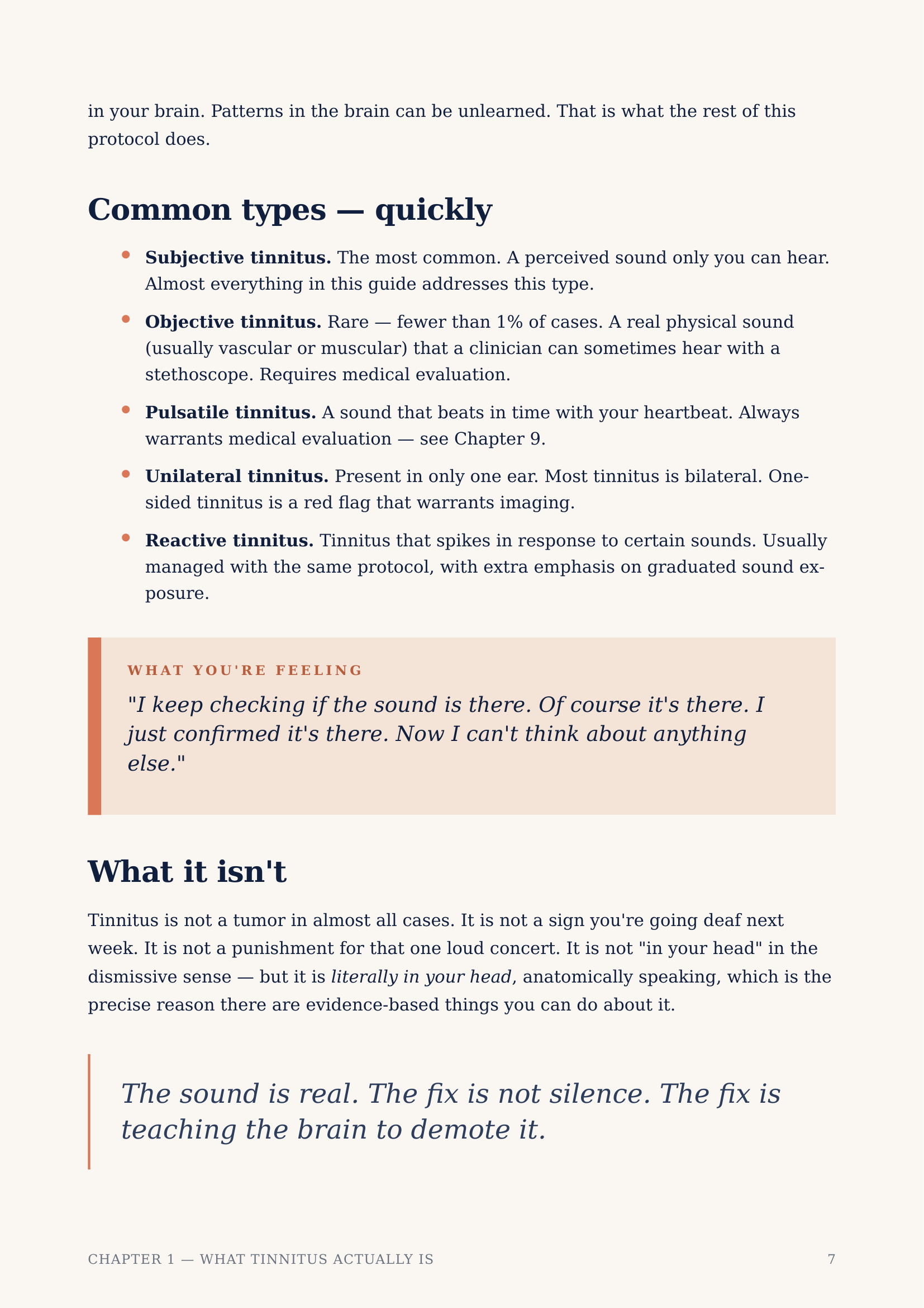 Page from a book or document explaining tinnitus with text and a quote.