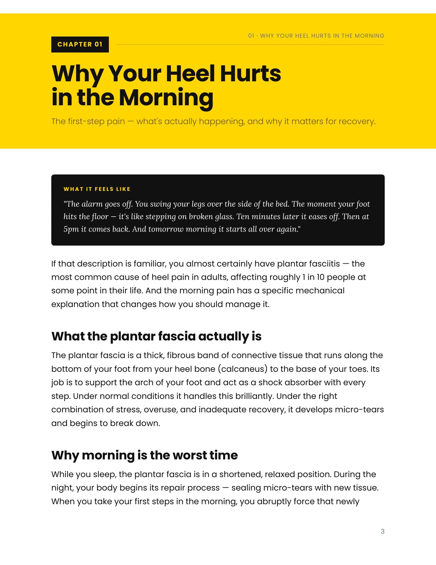 STEP — Stop Waking Up in Heel Pain: The Plantar Fasciitis Fix (PDF)